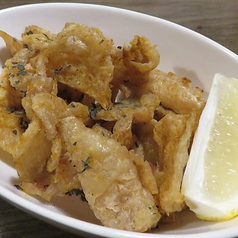 カリカリ皮カレー