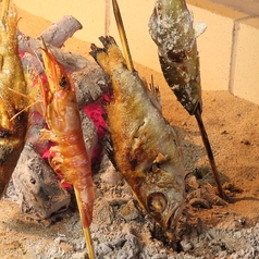 越後ダイニング 旬 とうかの写真