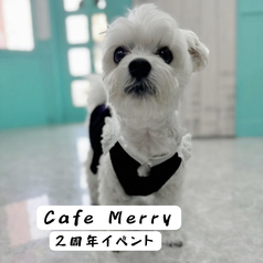 Cafe Merry カフェ メリーのおすすめポイント1