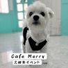 Cafe Merry カフェ メリーのおすすめポイント1