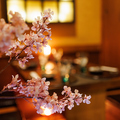 朝〆鮮魚/京出汁おでん/比内地鶏/3時間飲み放題　京風料理　三蔵 錦糸町店の雰囲気1