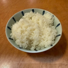 ライス (小/中/大)
