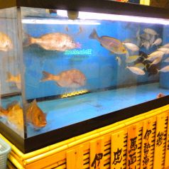 新鮮なお魚をお召し上がりください♪