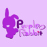 Purple Rabbit パープル ラビットのロゴ
