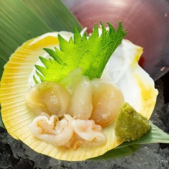 鹿児島産ツキヒガイお造り
