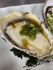 殻付カキ ( Oysters in shell )