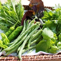 北海道の新鮮な魚介＆自社菜園の野菜がたっぷりのお料理