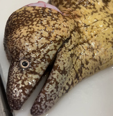 魚と酒 はなたれ 東戸塚店のおすすめ料理3
