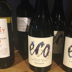 ≪赤≫エコバランス[ミディアム/チリ]