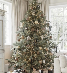 新横浜 鉄板焼き 牛鳴のコース写真