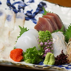 本日の鮮魚各種