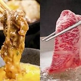 但馬屋 なんばCITY店の写真