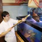 さかなや道場自慢のお造り♪生簀の鮮魚を直前に職人がさばくので新鮮で美味しい～！