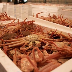 鮨 えのめ 近江町市場本店の特集写真