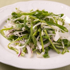 パクチーと唐辛子のサラダ