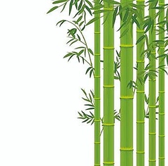 【夏限定】氷結竹酒