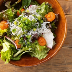 明太子としらすのサラダ