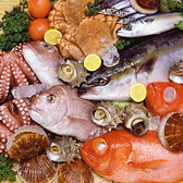 瀬戸内産直！鮮度抜群の魚介を使用した魚料理。旬の鮮魚・貝鮮を使用し”素材の味を生かすシンプルなお料理”から”フレンチらしい濃厚なお料理”まで。様々なメニューを取り揃えております。