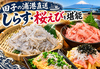 箱ざき