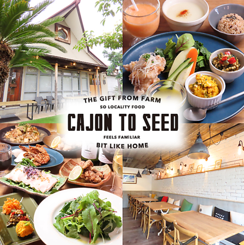 ゆったりと時間が流れる隠れ家カフェ♪地元食材の有機野菜と無農薬玄米ランチを堪能！