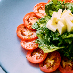 メキシコ産ローマトマトとモッツァレラチーズサラダ(Mexican tomato salada with valsamico)