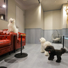 犬猫カフェ put on lap プットオンラップ 今池のおすすめポイント2