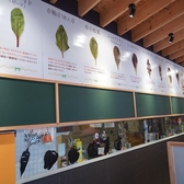 Cafe&Restaurant ARANCIAの雰囲気3