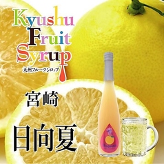 【夏限定】福田農場 日向夏フィズ