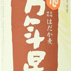 万年星