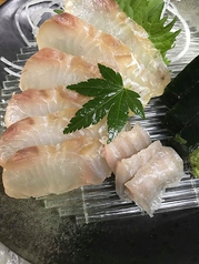 新鮮鮮魚造り　単品