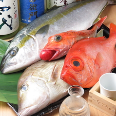 和食旬彩 すずもとの特集写真