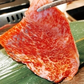 焼肉ガリバーのおすすめ料理3