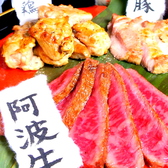 阿波の酒場 曉 Akatsuki 阿波の酒場 曉 Akatsuki