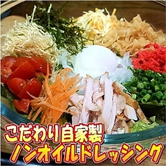 13品目の彩りジュウジューサラダ