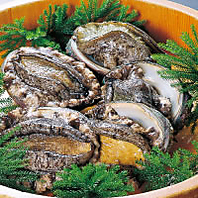 房州料理と新鮮な魚介