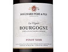 ブルゴーニュ ピノ ノワール ラ ヴィニェ
