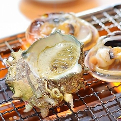 大衆浜焼き酒場 かごや 幡ヶ谷本店の特集写真