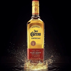 スピリッツテキーラ　クエルボ　エスペシャルゴールド