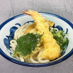 天ぷらうどん（温・冷）