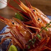 豊洲市場から仕入れた新鮮な魚をご堪能ください♪