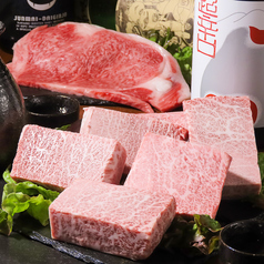 炭焼酒場 晴れる屋 住吉店 となりのハレルヤの特集写真