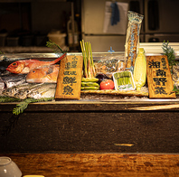 相模湾の朝獲れ鮮魚や新鮮な湘南野菜を使用♪