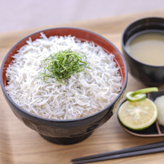 ☆高知の美味しいシラス丼
