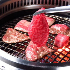 桜木町みなとみらい 関内 中華街 焼肉 ホルモンの予約 クーポン ホットペッパーグルメ