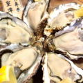 料理メニュー写真&nbsp;生牡蠣