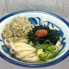 梅こんぶうどん（温・冷）