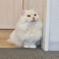 ご利用時間について