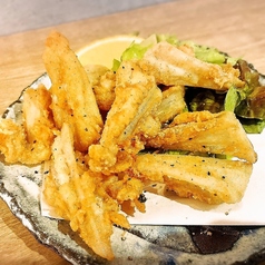 カッパナンコツの唐揚げ/名物!黒スパイシーの手羽唐/おっきなササミフライ~最強食べるタルタルソース~