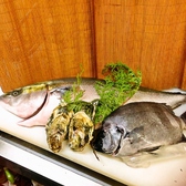 【その日仕入れた最高の食材をご提供！】片身2.8キロのブリ！伊勢産牡蠣に、石鯛。