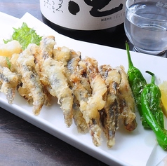 瀬戸内海鮮居酒屋 こうせいのコース写真